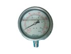 Đồng hồ áp suất NH3 HTGauge